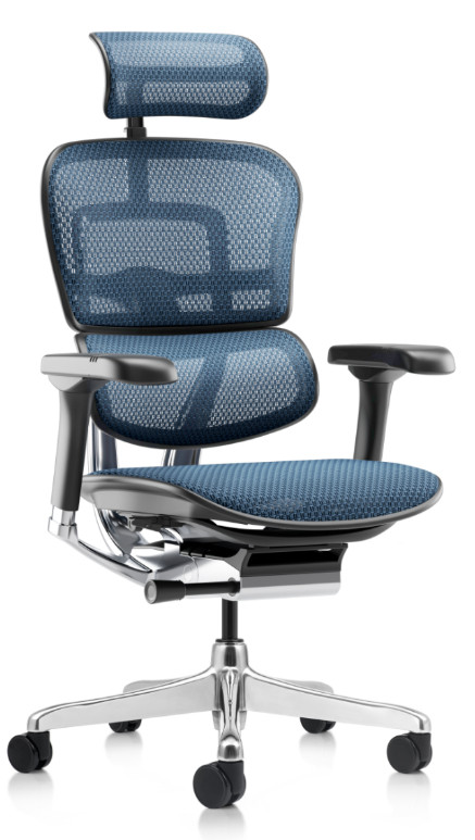 ERGOHUMAN BLUE 1