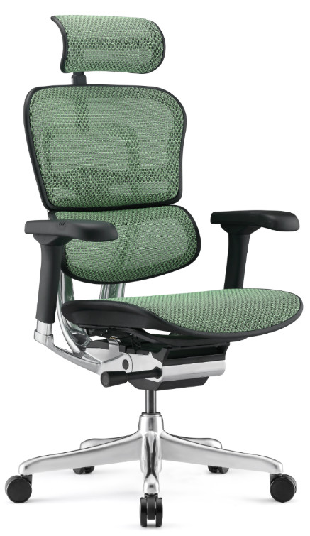 ERGOHUMAN GREEN 1