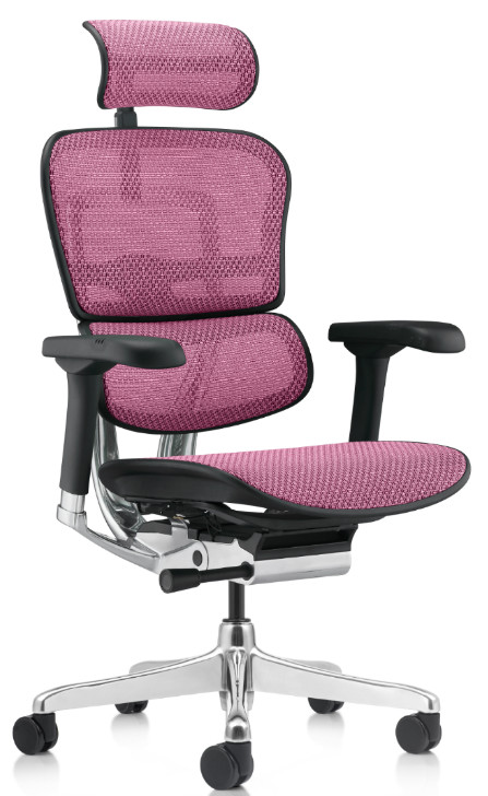 ERGOHUMAN PINK 1